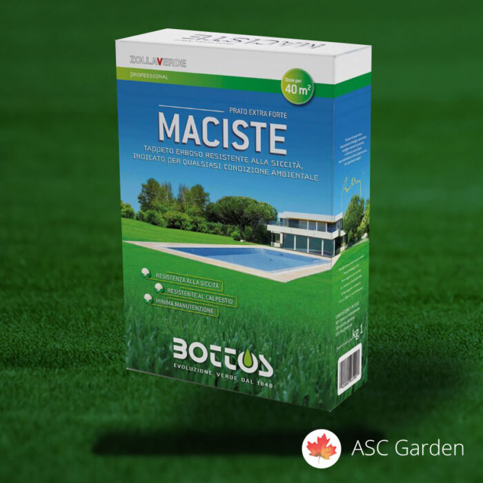 Seme trave za sunce MACISTE 1 kg za 40m2